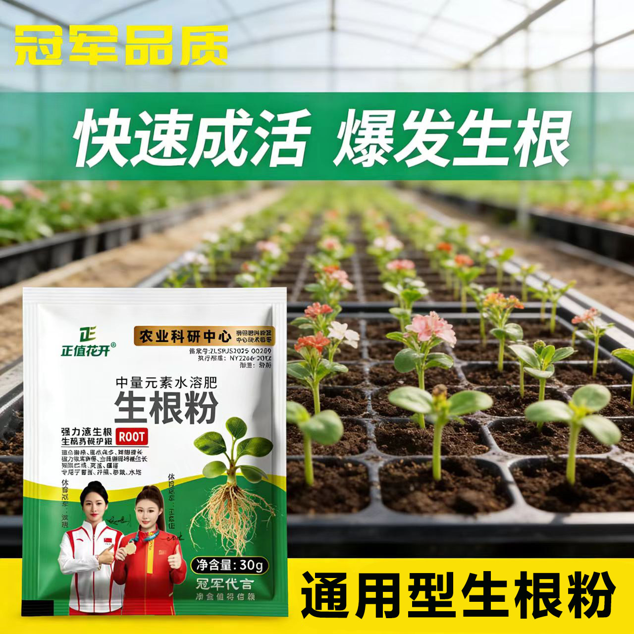 强力生根粉扦插育苗盆栽植物多肉通用大树果树移栽生根剂壮苗发根,农用物资,叶面肥,淘宝优惠券,粉丝福利购,淘宝优惠卷