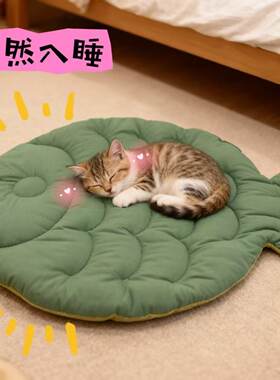胖头鱼宠物垫子四季通用