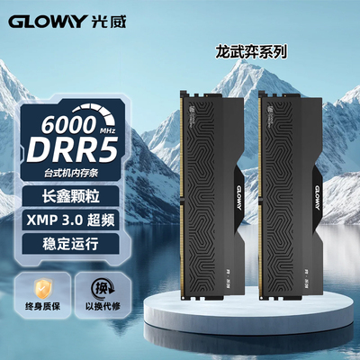 光威龙武-弈32gddr5内存条