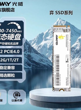 光威弈512g 1t 2t 固态硬盘ssd m.2 PCIe4.0 Ps5笔记本台式机