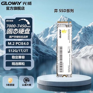 固态硬盘ssd m.2 PCIe4.0 机 光威弈512g Ps5笔记本台式