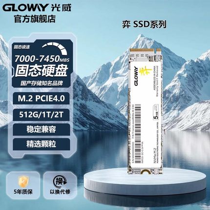 光威弈512g 1t 2t 固态硬盘ssd m.2 PCIe4.0 Ps5笔记本台式机