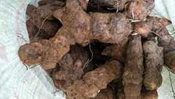 神农架野生土茯苓干货250克