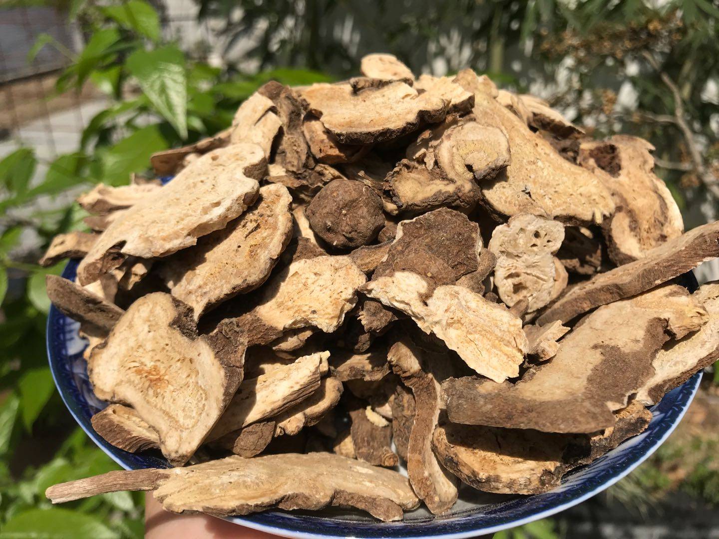 生白术片 无硫白术250g 野生白术 中药材,传统滋补营养品,其他药食同源食品,淘宝优惠券,粉丝福利购,淘宝优惠卷