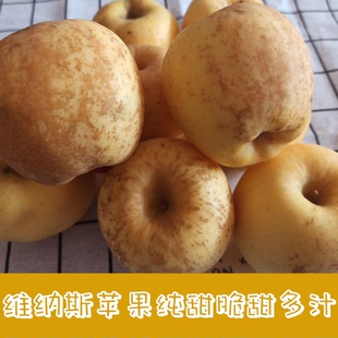 山东烟台黄金维纳斯奶油富士苹果4.5斤 纯甜脆甜现摘新鲜水果 包邮