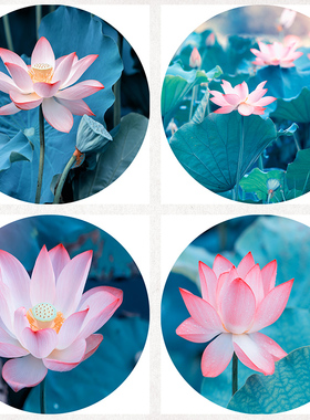圆形摄影荷花超高清客厅餐厅装饰画加厚防水防霉油画布卫生间挂画