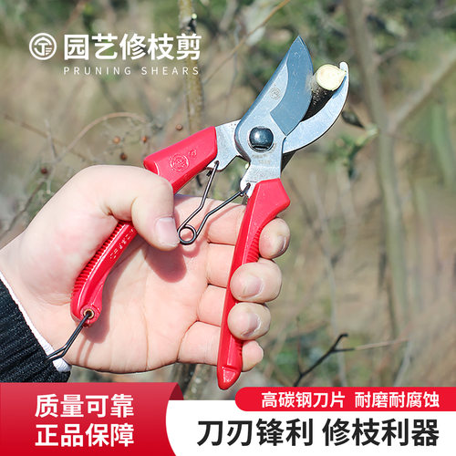修枝剪园艺剪刀农帮手刀刃锋利