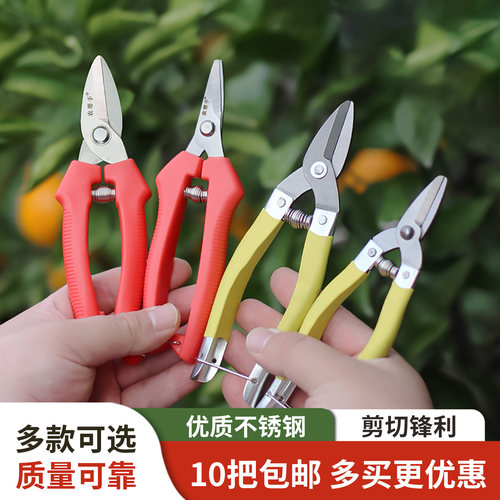 橘子剪采摘摘果剪剪刀