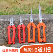 水果摘果剪橘子采果剪葡萄花椒专用剪刀园艺修枝剪稀果剪疏果剪子
