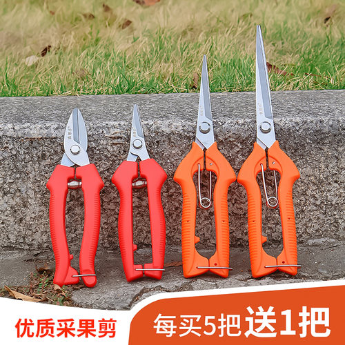 园艺修枝采果剪摘果剪修枝剪刀