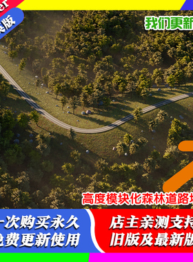 Blender源文件 高度模块化森林道路场景 Cycles 专用汽车渲染