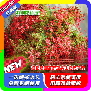 blender插件 Mossify Full 2.0 程序植物动画苔藓藻类生物资产库