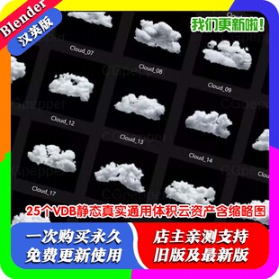 Blender 6.5 GB 25个VDB静态真实通用体积云资产含缩略图