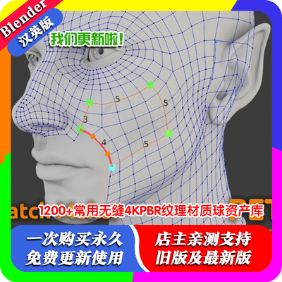 Blender插件 Petik 2.07 一键多边形重构网格拓扑面片减面四边形