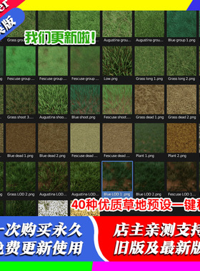 blender插件 Next Scatter V2 散布种草草地预设合集分布散射程序