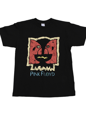 Pink Floyd摇滚乐队涅盘david bowie痛仰vintage朋克古着短袖T恤