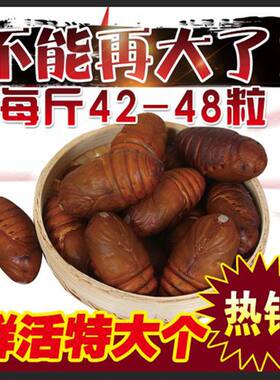 蚕蛹东北茧蛹黄蚕蛹鲜活