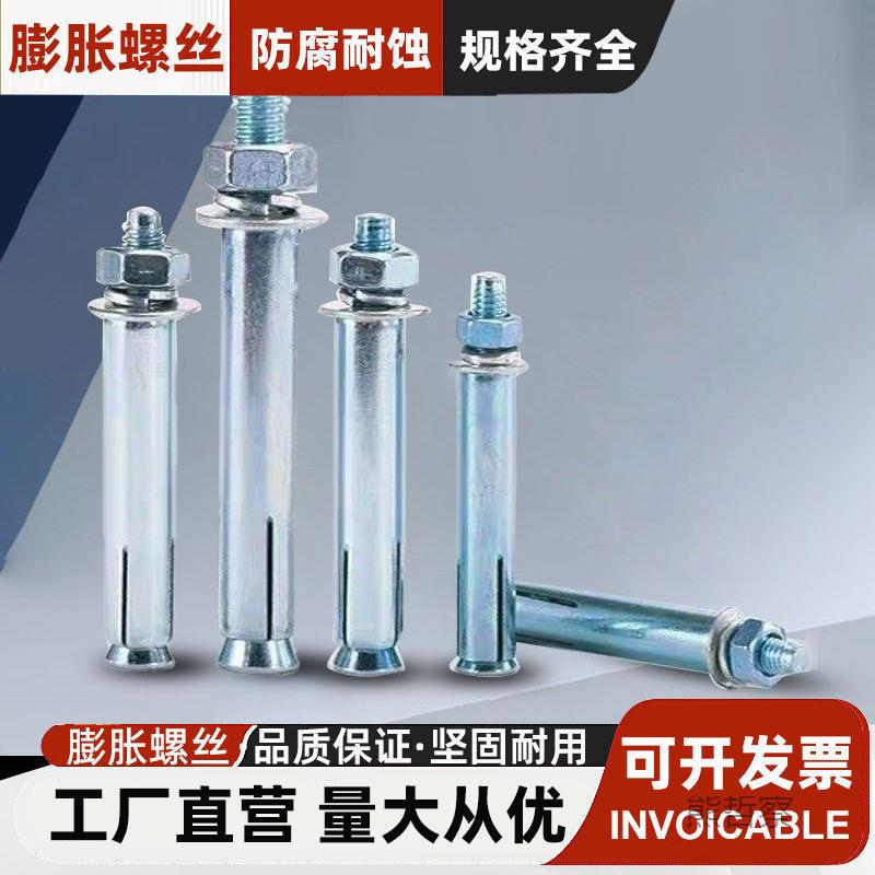 国标膨胀栓镀锌膨胀螺空调膨螺胀丝吊99顶超长铁丝膨胀螺丝整一箱