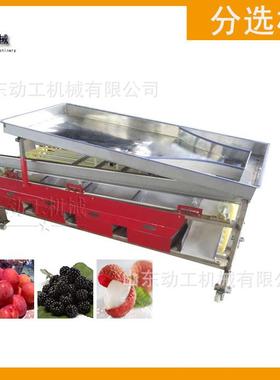 JTI商用分吊杆杏分选 机 新疆大灰枣枣选果机轨道式金桔山竹选机