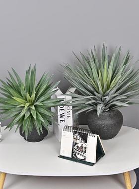 仿手感剑SYI麻龙舌兰手沙漠假千花真绿植插花造景商场橱窗软胶剑