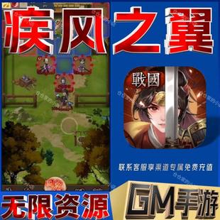 疾风之翼后台gm权限开局满级VIP初始号无限免充手游兑换礼包码