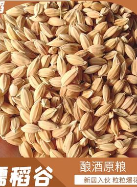 糯米谷搬家入伙糯米粘稻子带壳糯稻谷糯稻谷子爆米花欢庆乔迁新居