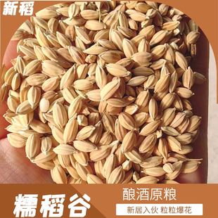 糯米谷搬家入伙糯米粘稻子带壳糯稻谷糯稻谷子爆米花欢庆乔迁新居