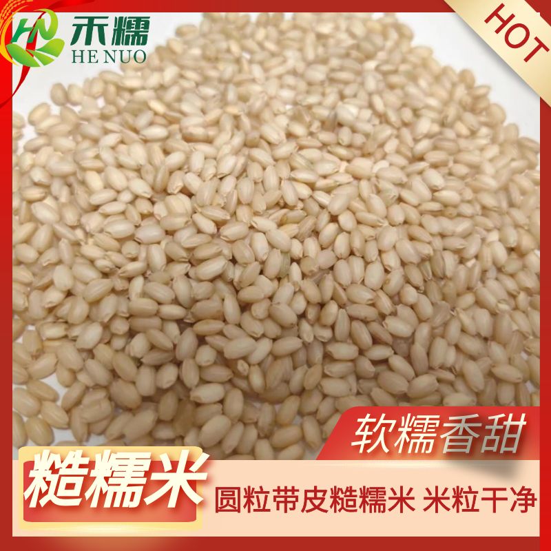 糙糯米粗粮甜酒原料阴米原料