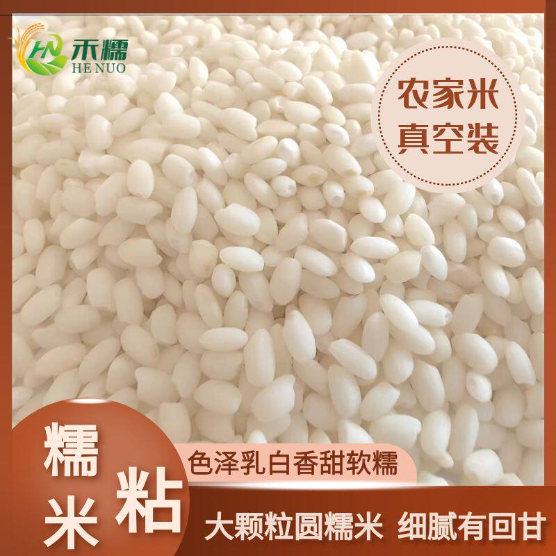 大颗粒饱满粳糯米糯米
