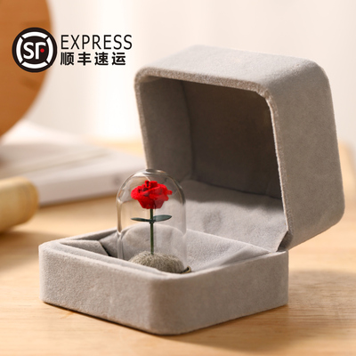 一朵小王子同款的玫瑰花