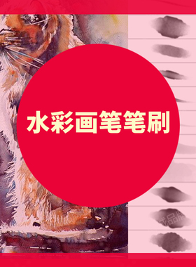 S3大神Photoshop设计素材高端插画特价PS高端BRUSH笔刷水彩画笔