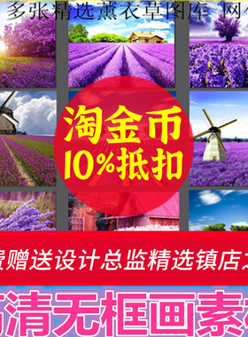 S199薰衣草系列微边框无框画装饰画照片墙紫色电子素材冰晶画图库