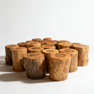 香樟木树墩树桩木桩凳坐凳子原木花架根雕茶几实木大底座墩子木墩
