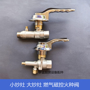 炉灶磁控主汽阀点火器 小火灶大灶长明火磁控阀门燃气电子火种阀