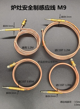 裕富宝佳斯特新粤海烤炉安全制感应线 M9温度传感器 SIT热电偶