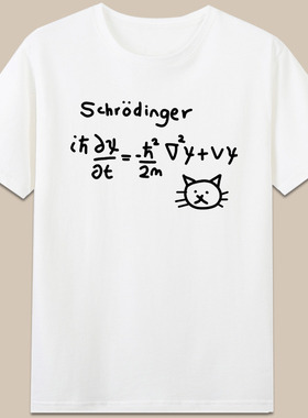 Schrodinger’s Cat薛定谔的猫手绘物理公式短袖纯棉短袖t恤衣服