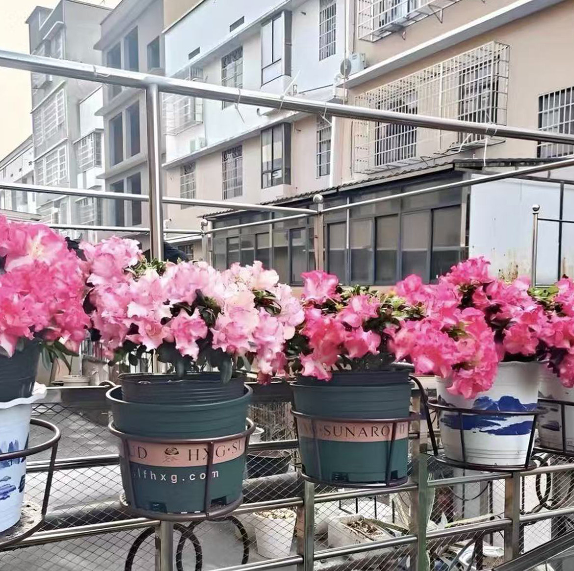 铁艺悬挂护栏花架免安装阳台栏杆简约绿萝多肉花盆吊篮架子,收纳整理,阳台置物架,淘宝优惠券,粉丝福利购,淘宝优惠卷