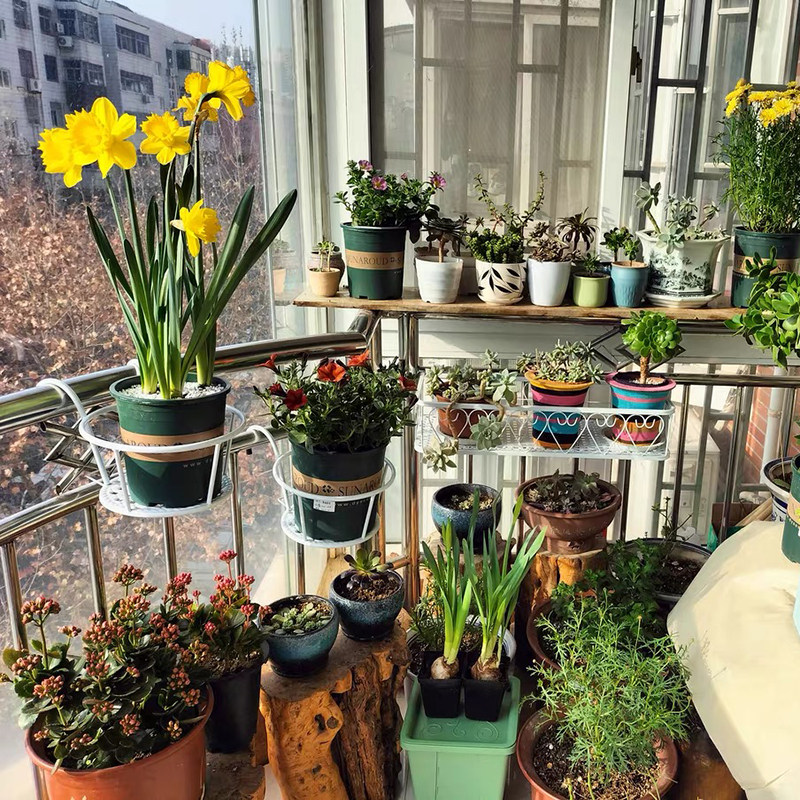 悬挂阳台花架 铁艺护栏多肉花盆挂式架子,收纳整理,阳台置物架,淘宝优惠券,粉丝福利购,淘宝优惠卷