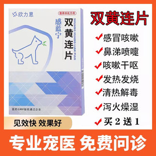 双黄连片宠物猫咪感冒咳嗽狗狗发烧流鼻涕打喷嚏犬窝咳猫鼻支兽药