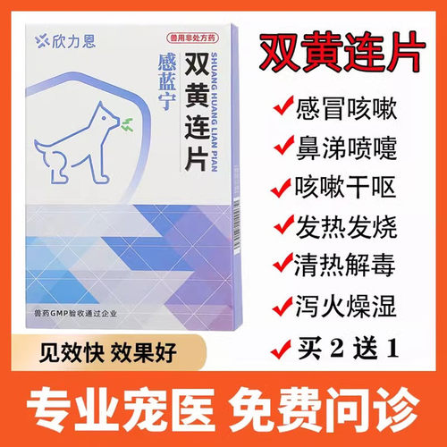 双黄连片宠物猫咪感冒咳嗽狗狗发烧流鼻涕打喷嚏犬窝咳猫鼻支兽药
