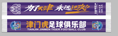 24新款中超天津津门虎球迷围巾正反双面印刷夏季薄款足球助威紫色