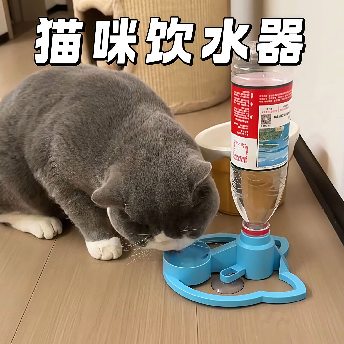 猫咪饮水机宠物自动饮水器小狗不插电水碗不湿嘴矿泉水瓶喝水神器