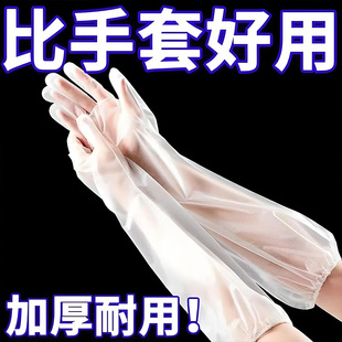 家务手套女一次性pe加长加厚防水食品级厨房洗碗洗衣tpe耐磨束口