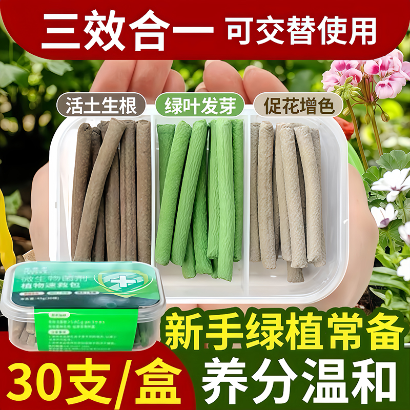 【三色植物营养棒缓释棒盆栽】