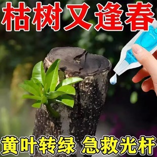 植物再生剂浓缩营养液绿植物通用养花卉盆栽家庭园艺肥料水溶肥料