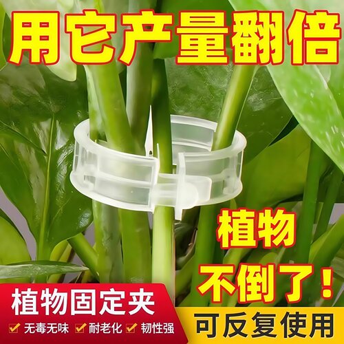 黄瓜西红柿豆角爬藤枝条固定器绿植蔬菜捆绑扎带藤蔓专用园林工具