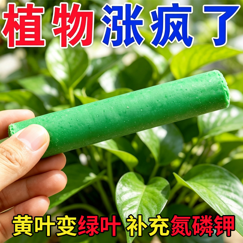 三色植物营养棒缓释棒盆栽花卉多肉通用绿植复活再生剂养花急救棒