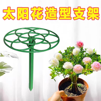 太阳花架子造型棒棒糖支架单层多层支撑架爬藤固定蟹爪兰支撑杆子