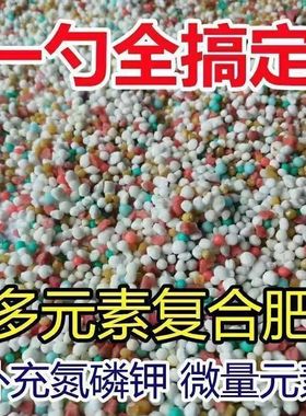 绿植花卉通用控释肥多肉颗粒缓释肥养花专用营养肥料氮磷钾复合肥