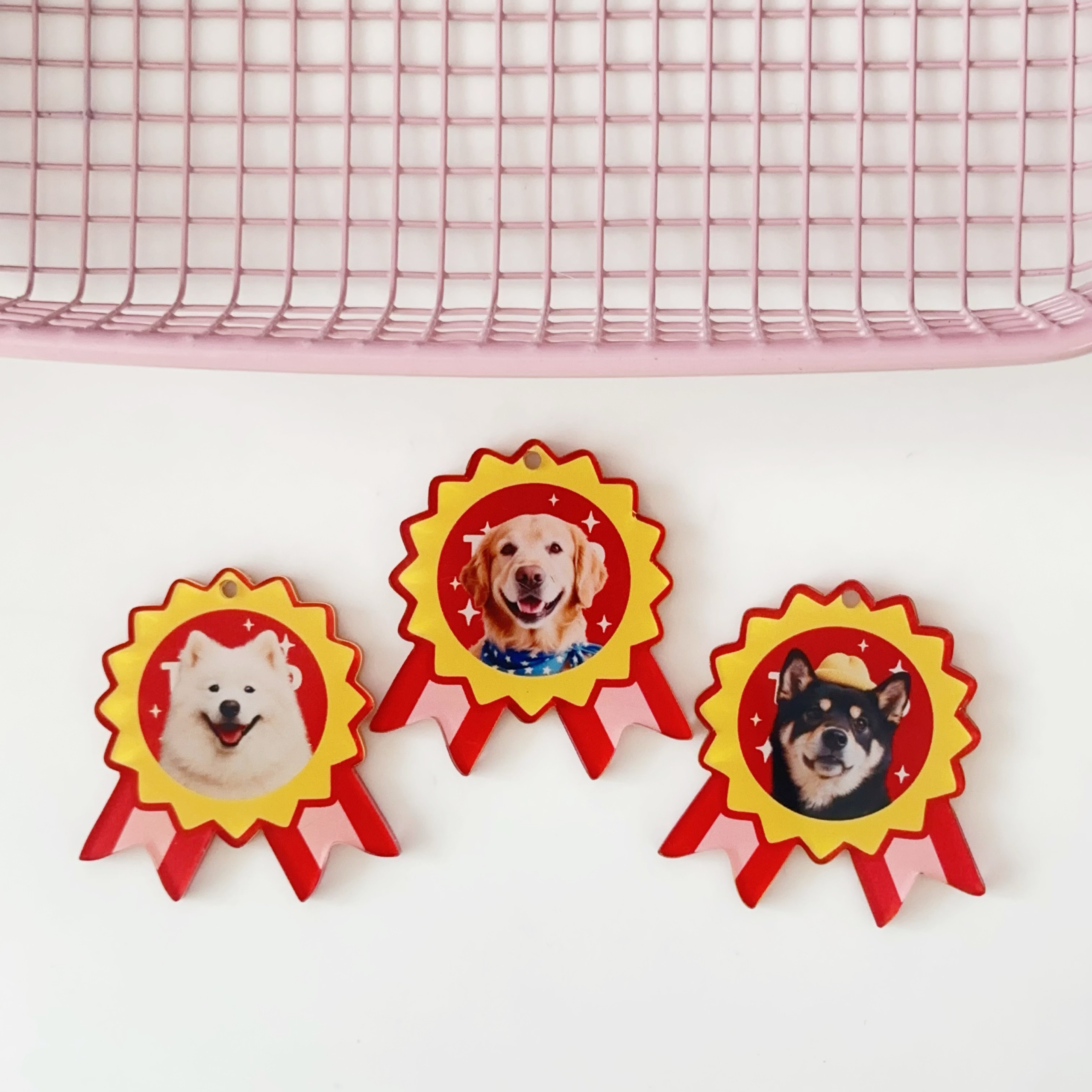 狗狗名牌外出防丢宠物牌